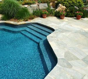 Backyard Pool Design